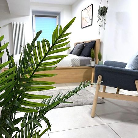 The Hidden Studio; Comfy & Close To The Lake Lugano Exteriör bild